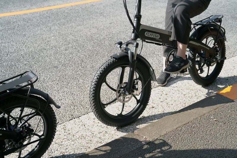 Tokyo: Private 2-Hour E-Bike Ride, City or Imperial Palace - The guide, pace and e-bike experience