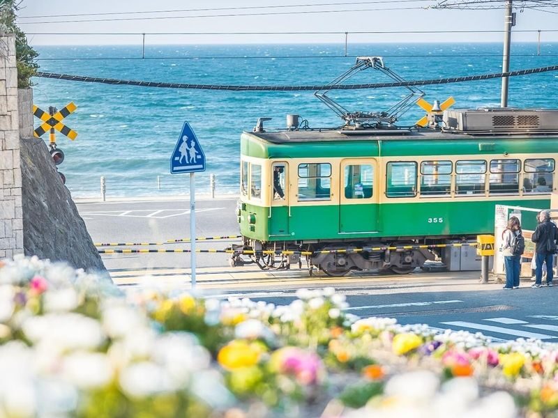Tokyo Private Car Charter: Customizable Itinerary (Chinese/English Speaking Driver) - A useful fit for families and small groups