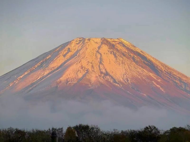 Tokyo Private Car Charter | Mount Fuji-Lake Kawaguchi-Oshino Hakkai | Customizable Itineraries - Choose the right route before the day