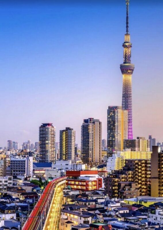 Tokyo Private Car Charter | Mount Fuji-Lake Kawaguchi-Oshino Hakkai | Customizable Itineraries - What a private car changes