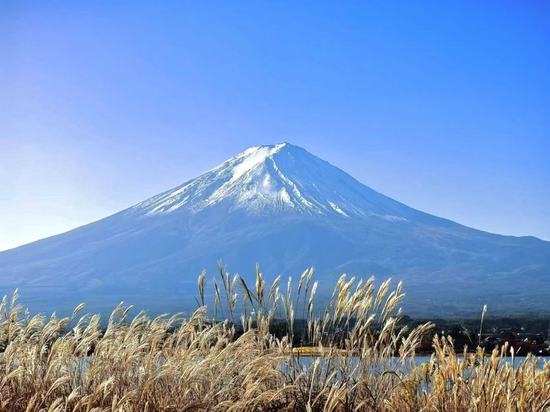 Tokyo Private Car Charter | Mount Fuji-Lake Kawaguchi-Oshino Hakkai | Customizable Itineraries - The real cost: plan for extras