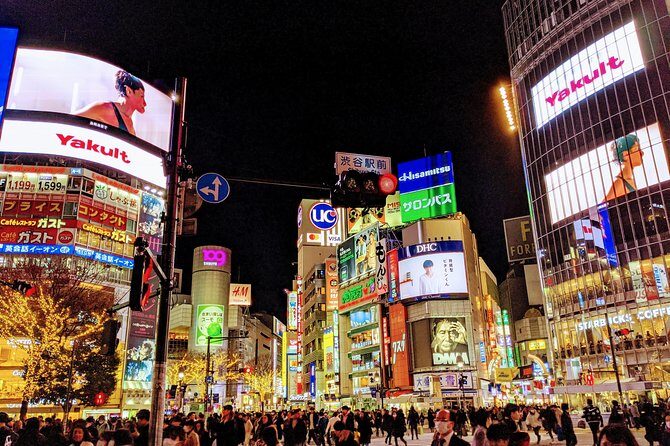 Tokyo Private Car Tour: Professional Guide and Driver/Optional airport xfer - What’s Included and What’s Not?