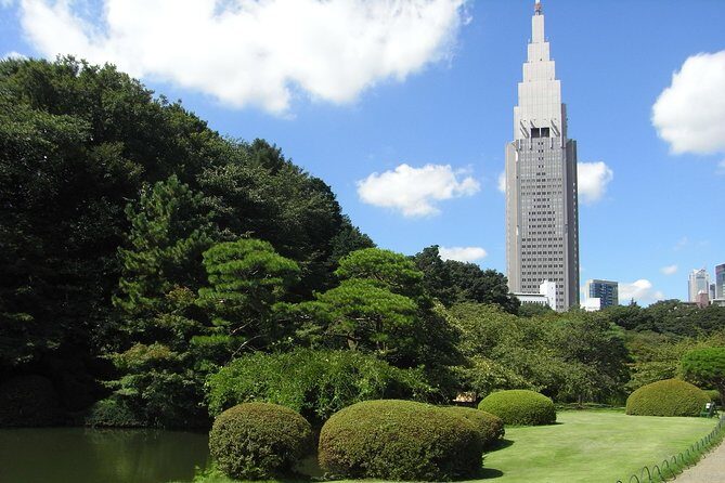 Tokyo Private Car Tour: Professional Guide and Driver/Optional airport xfer - Who Will Love This Tour?