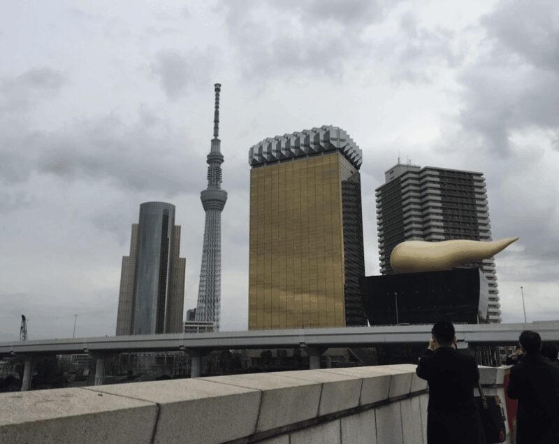 Tokyo: Private Car Tour with Mai - Why Travelers Love This Tour