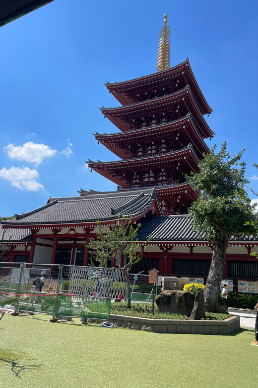 Tokyo: Private City Highlights Tour - Who Would Love This Tour?