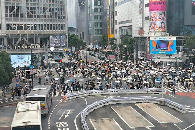 Tokyo Private Custom Tour with Local guide - Final Thoughts