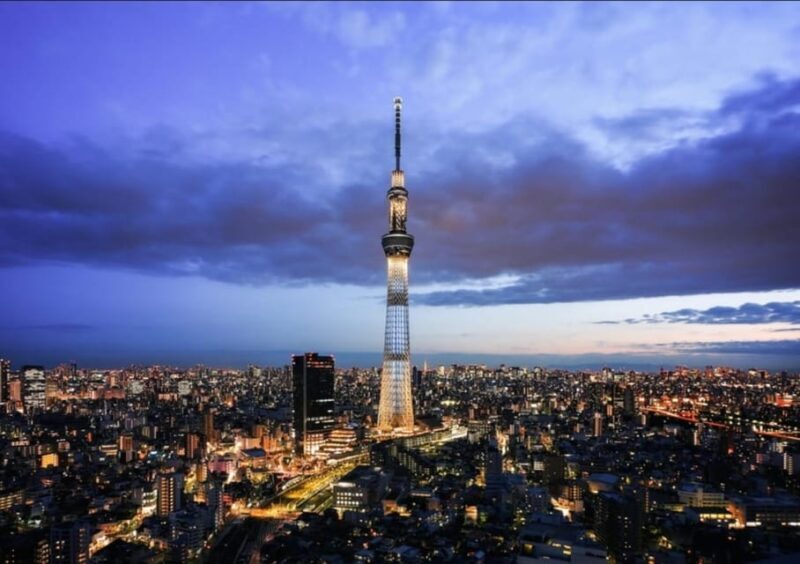 Tokyo: Private Customizable Day Tour with Chauffeur - A Detailed Look at the Tokyo Private Customizable Day Tour