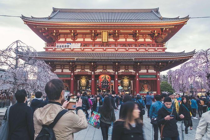 Tokyo Private Customizable Full Day Tour - A Detailed Look at the Experience