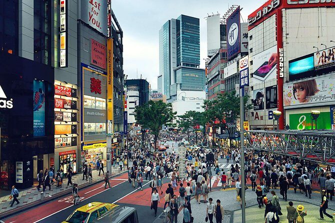 Tokyo Private Customizable Half Day Tour - The Sum Up: Who Should Book This Tour?