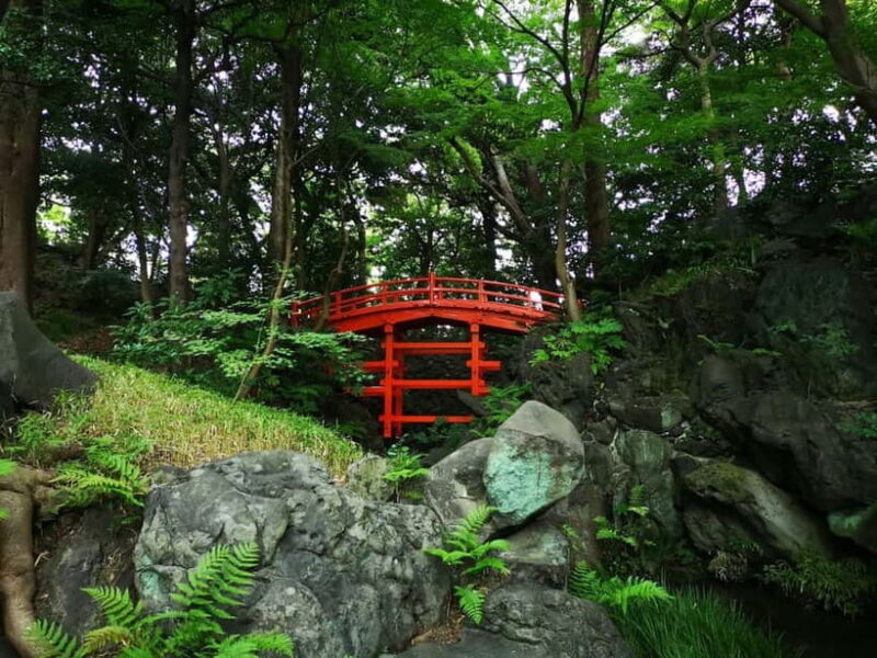 Tokyo: Private & Customizable Tour - All-in-One Experience - Who Should Consider This Tour?