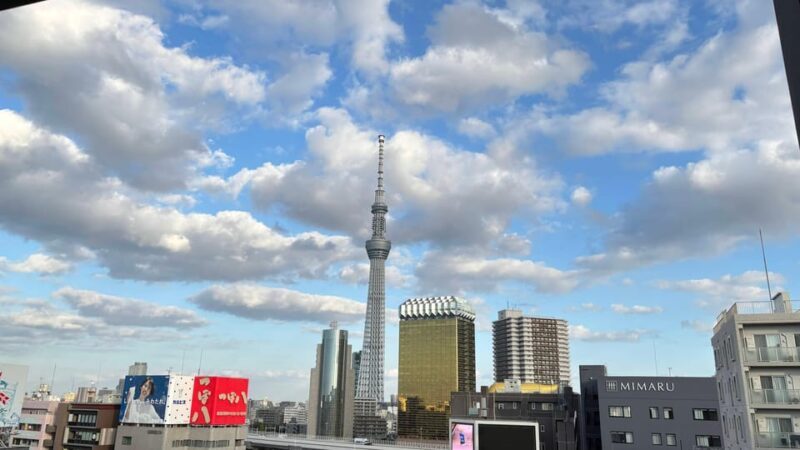 Tokyo: Private Customizable Tour with a Local Guide - Key Points