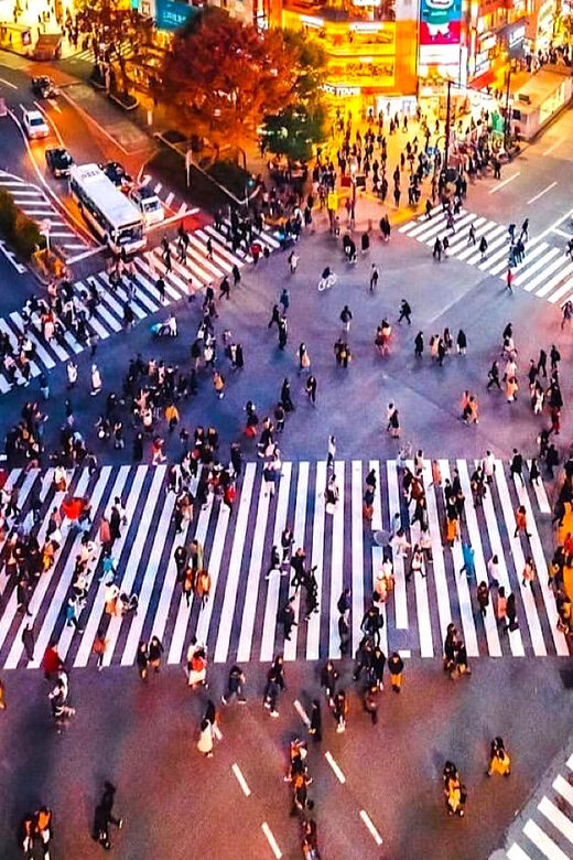 Tokyo Private Customizable Tour with a Local Guide - Key Points