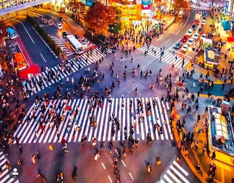 Tokyo Private Customizable Tour with a Local Guide - What Makes This Tour Stand Out?