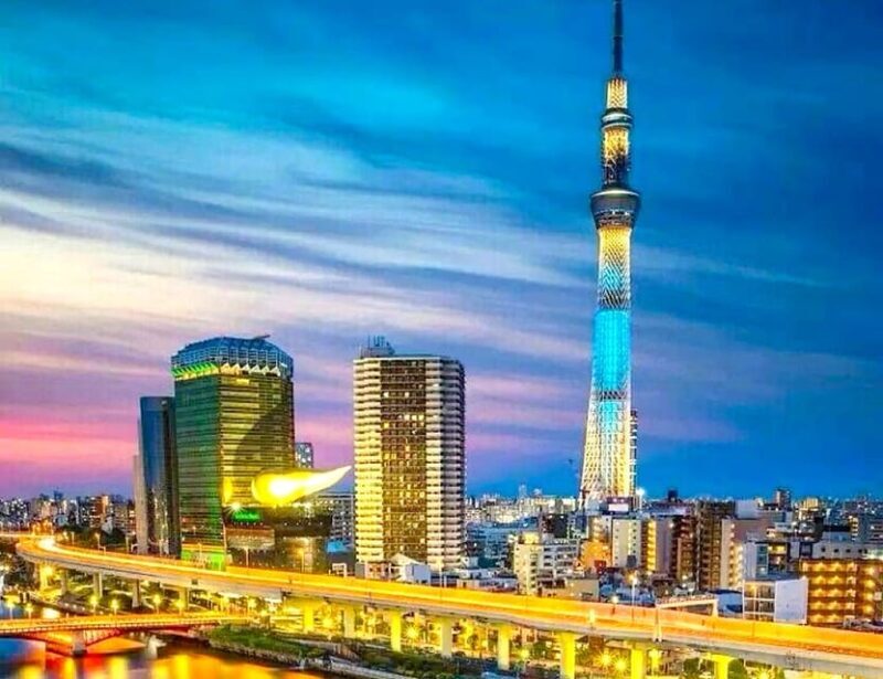 Tokyo Private Customizable Tour with a Local Guide - FAQ