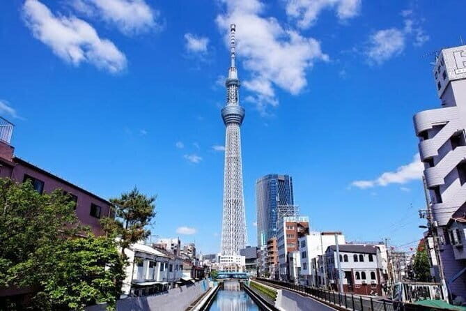 Tokyo Private Day Tour by Car with English speaking Driver - In-Depth Look at the Tour Experience