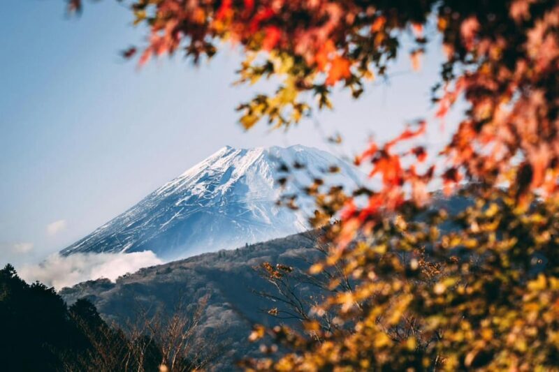 Tokyo: Private Day Trip to Mount Fuji and Hakone - Tokyo: Private Day Trip to Mount Fuji and Hakone