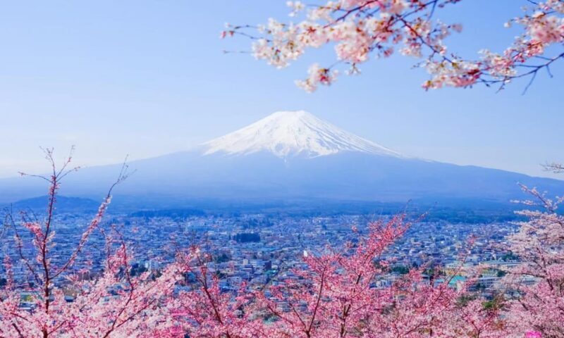 Tokyo: Private Day Trip to Mount Fuji and Hakone - FAQs