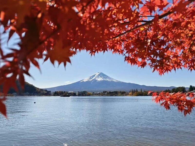Tokyo: Private Day Trip to Mount Hakone and Lake Ashi - Exploring the Natural Beauty of Mount Fuji, Hakone, and Lake Ashi