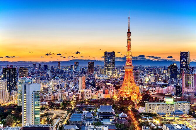 Tokyo Private Driving Tour by Car/Van- English speaking chauffeur - Authenticity & Practicality