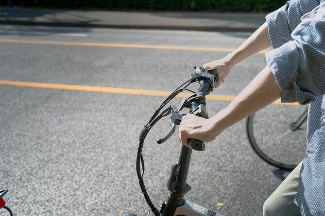 Tokyo: Private Electric Bike Tour of City Highlights - Final Thoughts