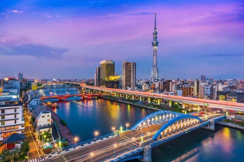 Tokyo: Private Full-Day Sightseeing Tour with English Driver - A Deep Dive into Your Tokyo Day