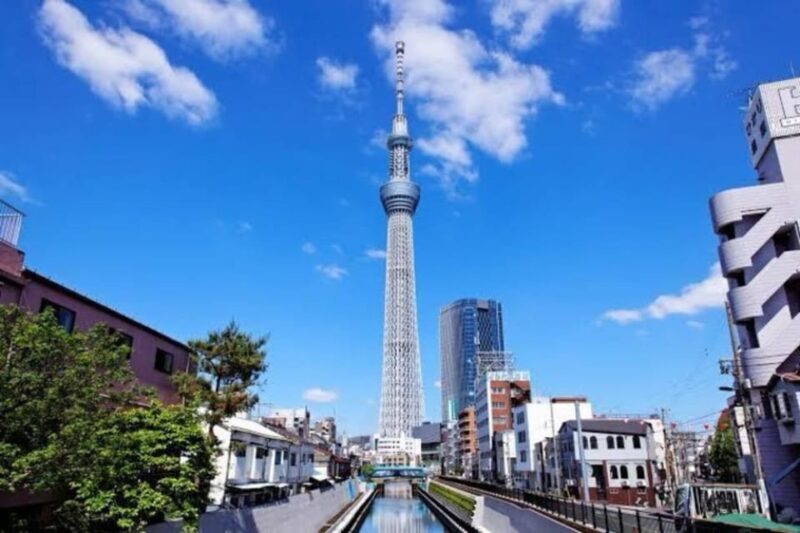 Tokyo: Private Guided Tour with Hotel Pickup and Drop-off - Summing Up: Is It Worth It?