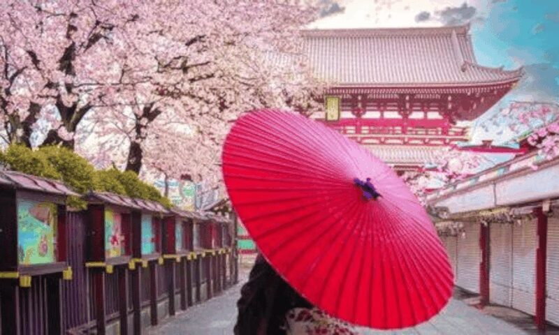 Tokyo: Private Guided Tour with Hotel Pickup and Drop-off - Key Points