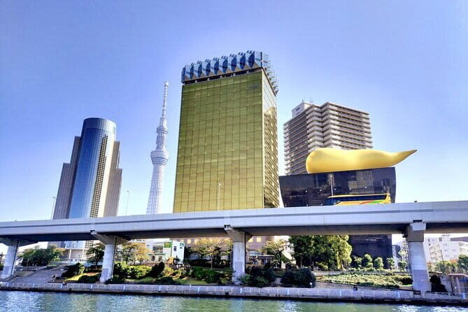 Tokyo Private Half Day Tour with Licensed Guide by Car - Exploring Tokyo in Comfort: A Detailed Review