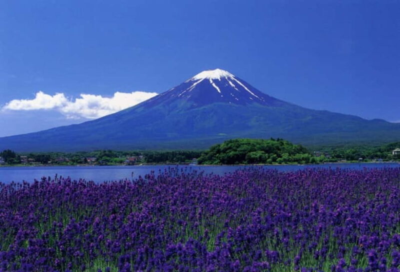 Tokyo : Private Luxury Tour To Mt Fuji With English Speaker - Key Points