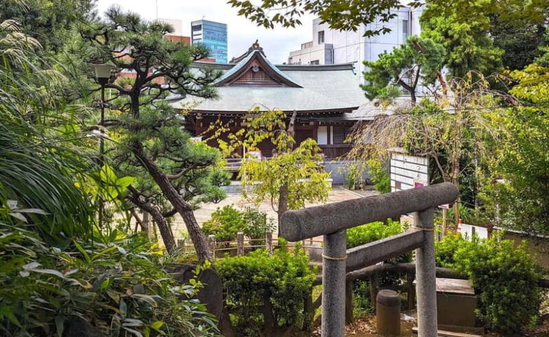 Tokyo: Private Morning Run with Sento Bath Experience - Key Points