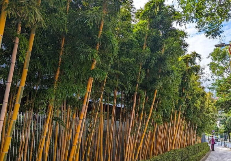 Tokyo: Private Morning Run with Sento Bath Experience - Final Thoughts