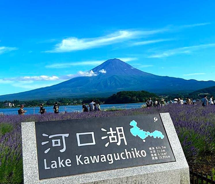 Tokyo: Private Mount Fuji and Hakone Day Trip with Guide - Practical Details and Tips