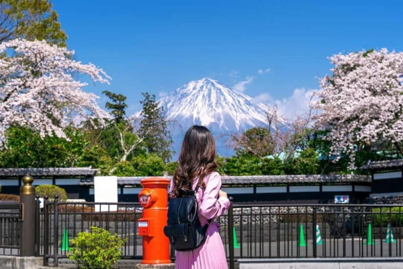 Tokyo: Private Mount Fuji Day Trip with Private Guide - Who Should Consider This Tour?