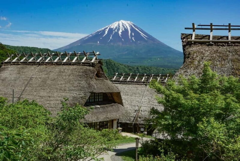 Tokyo: Private Mount Fuji Tour with Pickup and Drop-Off - Final Thoughts