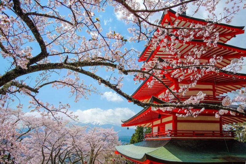 Tokyo: Private Mt.Fuji Day Trip with English-Speaking Driver - Key Points