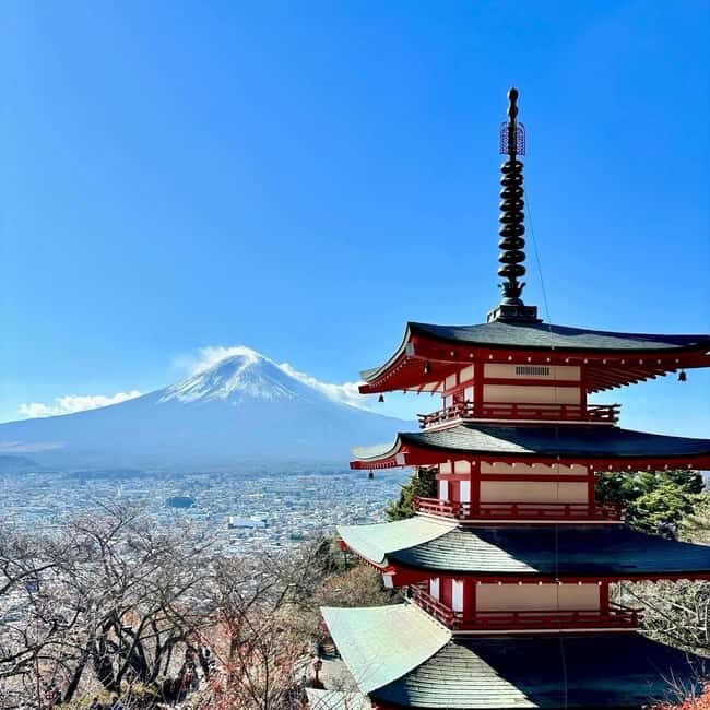 Tokyo: Private Mt. Fuji Day Trip with Local Guide - Wrapping It Up: Who Is This Tour Best For?