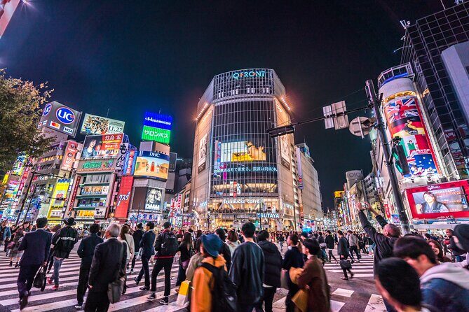 Tokyo Private Night Tour by Car/Van - English speaking chauffeur - Who This Tour Is Perfect For