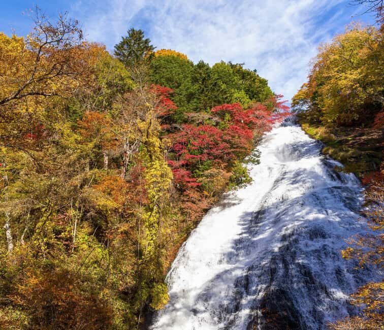 Tokyo: Private Nikko Day Tour of Temples, Lakes & Waterfalls - Who Should Consider This Tour?
