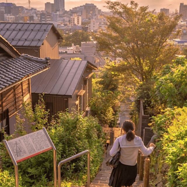 Tokyo: Private Nikko World Heritage Instagramable Day Tour - FAQ