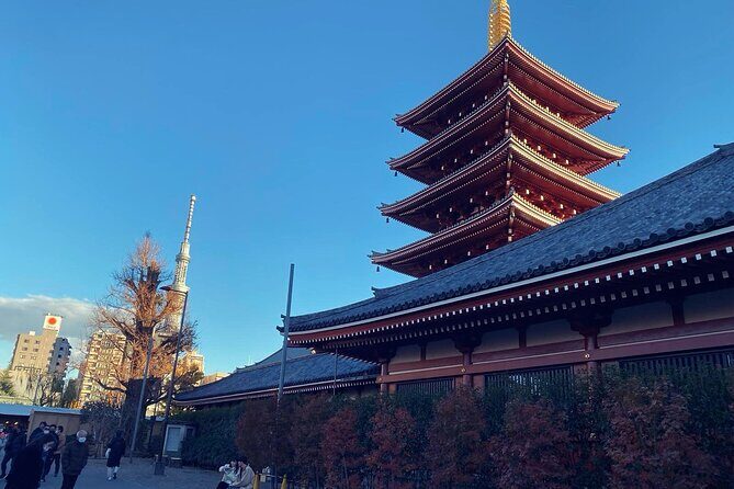 Tokyo Private One-Day Tour  Local Driver - A Private, Personalized Day in Tokyo with a Local Driver