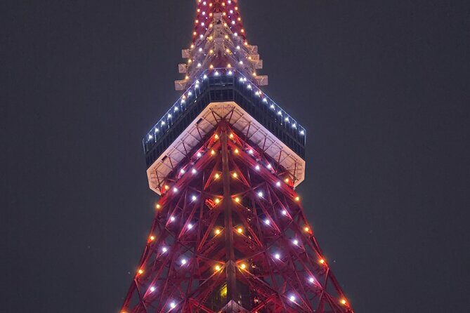 Tokyo Private One-Day Tour  Local Driver - FAQ