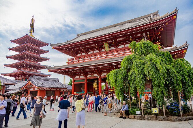 Tokyo Private Sightseeing Tour by Car - English speaking driver - In The Sum Up: Who Should Consider This Tour?