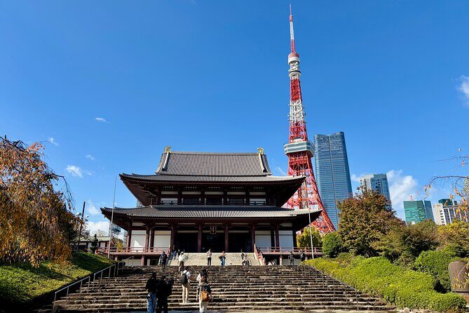 Tokyo Private Sightseeing Tour by Car with Local Guide - Itinerary Flexibility and Highlights