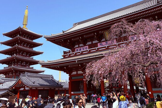 Tokyo Private Sightseeing Tour by Car with Local Guide - What to Expect at Key Sites