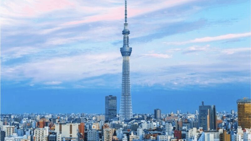 Tokyo: Private Tokyo City Must Seen Places By English Guide - Exploring Tokyo in a Private, Fully Customizable Way