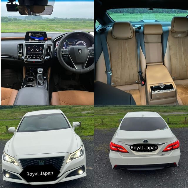 Tokyo: Private Tokyo City Must Seen Places By English Guide - Final Thoughts