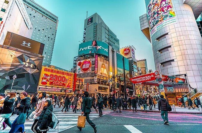 Tokyo Private Tour by Car/Van with English Speaking Driver - Final Thoughts