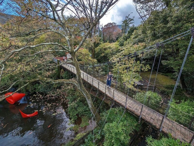 Tokyo private tour by car with pick up - A Deep Dive into the Experience