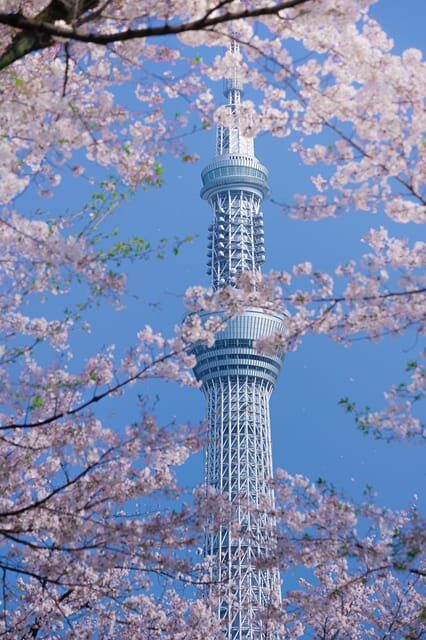 Tokyo private tour by car with pick up - Who Should Consider This Tour?