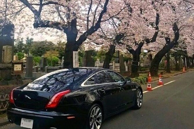 Tokyo Private Tour by Vehicle with English-Speaking Chauffeur - Key Points